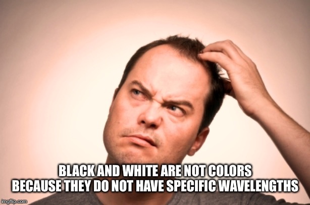 puzzled man | BLACK AND WHITE ARE NOT COLORS BECAUSE THEY DO NOT HAVE SPECIFIC WAVELENGTHS | image tagged in puzzled man | made w/ Imgflip meme maker