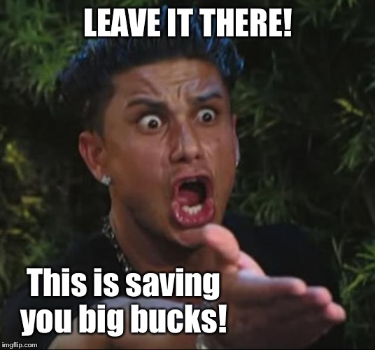 DJ Pauly D Meme | LEAVE IT THERE! This is saving you big bucks! | image tagged in memes,dj pauly d | made w/ Imgflip meme maker