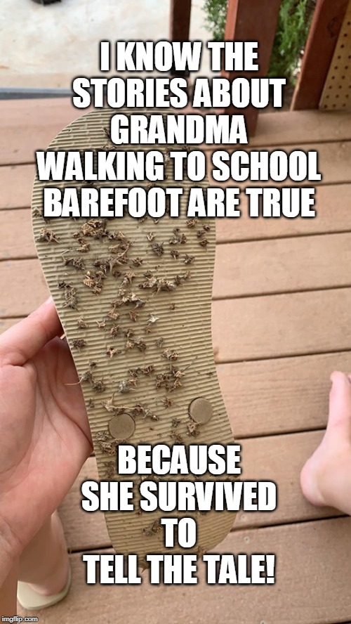 Watch Your Step | I KNOW THE STORIES ABOUT GRANDMA WALKING TO SCHOOL BAREFOOT ARE TRUE; BECAUSE SHE SURVIVED TO TELL THE TALE! | image tagged in watch your step,walking barefoot to school | made w/ Imgflip meme maker