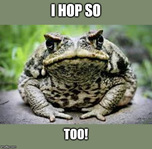 Toad's Crazy Insane Meme? | I HOP SO TOO! | image tagged in toad's crazy insane meme | made w/ Imgflip meme maker