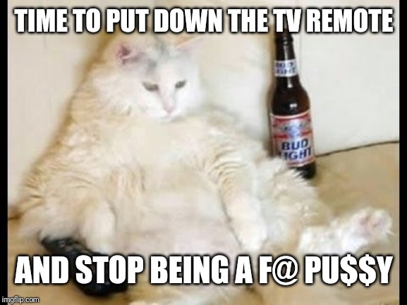 Cat watching TV with beer | TIME TO PUT DOWN THE TV REMOTE AND STOP BEING A F@ PU$$Y | image tagged in cat watching tv with beer | made w/ Imgflip meme maker