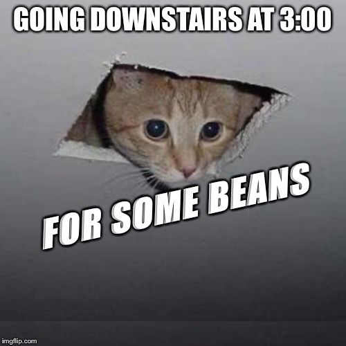 Ceiling Cat | GOING DOWNSTAIRS AT 3:00; FOR SOME BEANS | image tagged in memes,ceiling cat | made w/ Imgflip meme maker