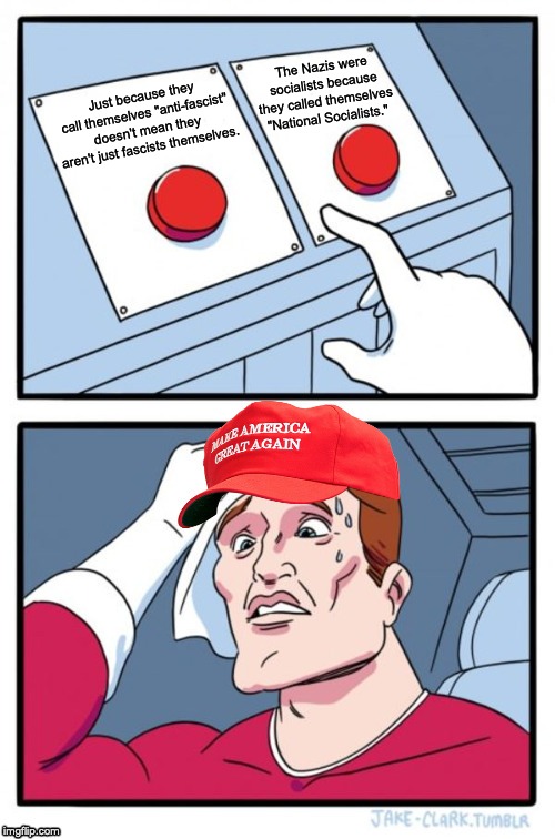 Two Button Maga Hat | The Nazis were socialists because they called themselves "National Socialists."; Just because they call themselves "anti-fascist" doesn't mean they aren't just fascists themselves. | image tagged in two button maga hat,nazi,antifa,socialism | made w/ Imgflip meme maker