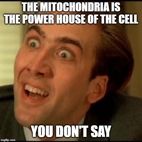 You dont say? | THE MITOCHONDRIA IS THE POWER HOUSE OF THE CELL; YOU DON'T SAY | image tagged in you dont say | made w/ Imgflip meme maker