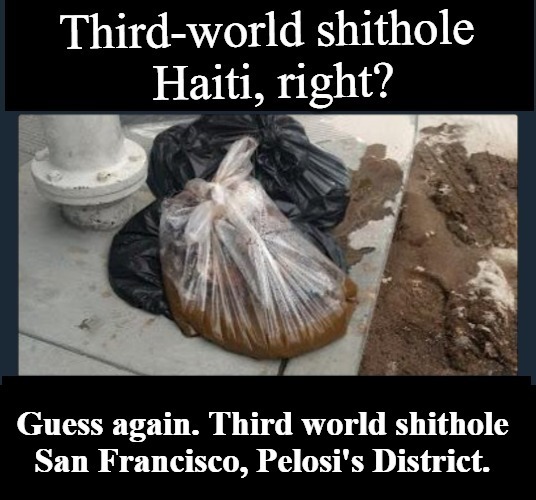 Welcome to Shithole Haiti, Right? | image tagged in san francisco,shithole,nancy pelosi is crazy,liberal hypocrisy,democratic socialism,cultural marxism | made w/ Imgflip meme maker
