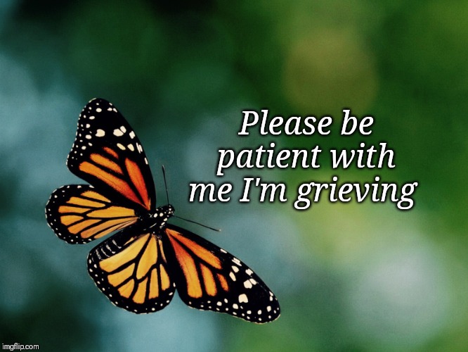 Butterfly | Please be patient with me I'm grieving | image tagged in butterfly | made w/ Imgflip meme maker