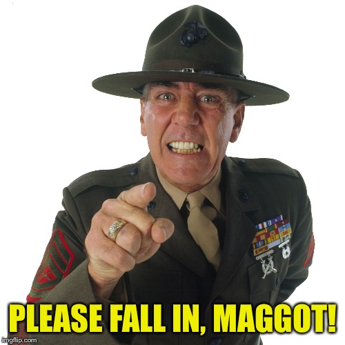 r lee ermey | PLEASE FALL IN, MAGGOT! | image tagged in r lee ermey | made w/ Imgflip meme maker