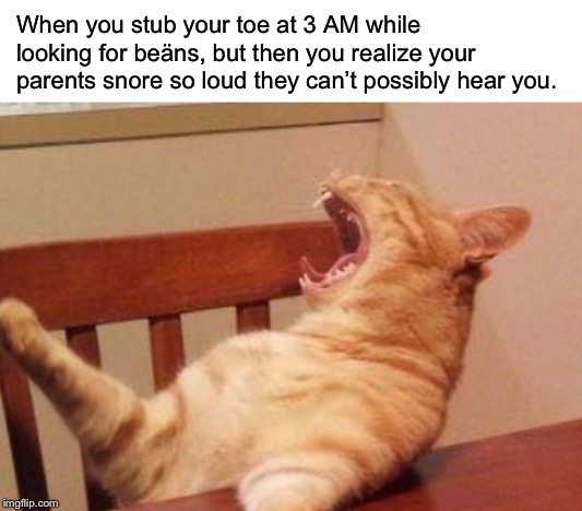 RrrrRrrrRrrRREeeeeeeeEeEeEeeeEEEE | When you stub your toe at 3 AM while looking for beäns, but then you realize your parents snore so loud they can’t possibly hear you. | image tagged in cats,memes,funny,toes,injury,oof | made w/ Imgflip meme maker