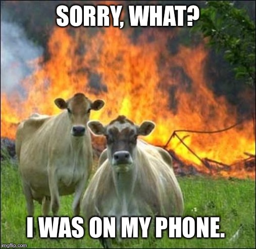 Evil Cows Meme | SORRY, WHAT? I WAS ON MY PHONE. | image tagged in memes,evil cows | made w/ Imgflip meme maker