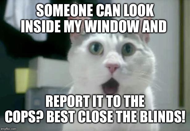 OMG Cat Meme | SOMEONE CAN LOOK INSIDE MY WINDOW AND; REPORT IT TO THE COPS? BEST CLOSE THE BLINDS! | image tagged in memes,omg cat | made w/ Imgflip meme maker