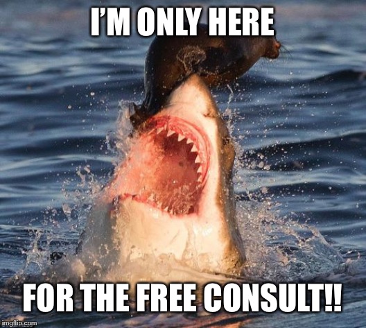 Travelonshark Meme | I’M ONLY HERE; FOR THE FREE CONSULT!! | image tagged in memes,travelonshark | made w/ Imgflip meme maker