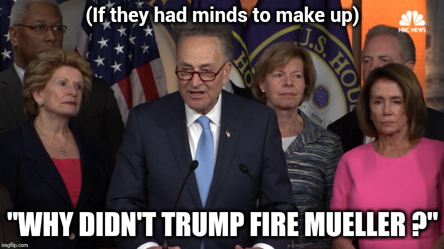 He didn't want to do them a favor | (If they had minds to make up); "WHY DIDN'T TRUMP FIRE MUELLER ?" | image tagged in democrat congressmen,change my mind,scumbag brain,what do we want,i don't know,politicians suck | made w/ Imgflip meme maker
