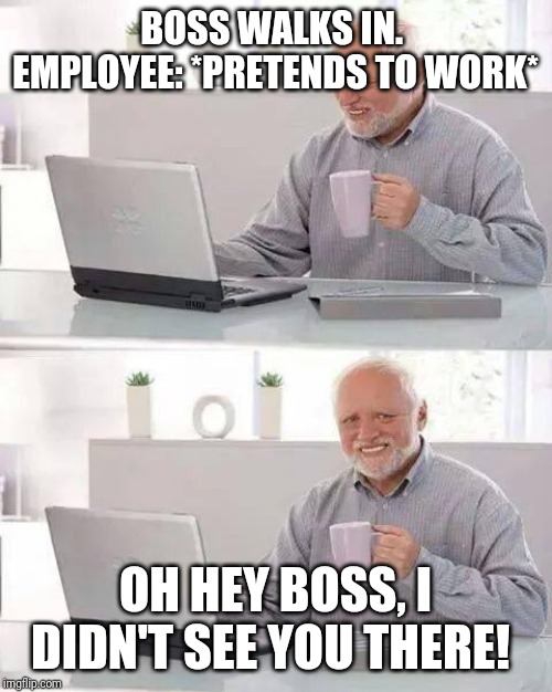 Hide the Pain Harold Meme | BOSS WALKS IN. 
EMPLOYEE: *PRETENDS TO WORK*; OH HEY BOSS, I DIDN'T SEE YOU THERE! | image tagged in memes,hide the pain harold | made w/ Imgflip meme maker