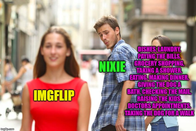 Distracted Boyfriend Meme | IMGFLIP NIXIE DISHES, LAUNDRY, PAYING THE BILLS, GROCERY SHOPPING, TAKING A SHOWER, EATING, MAKING DINNER, GIVING THE DOG A BATH, CHECKING T | image tagged in memes,distracted boyfriend | made w/ Imgflip meme maker