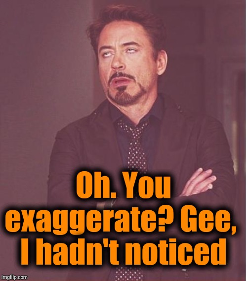 Face You Make Robert Downey Jr Meme | Oh. You exaggerate? Gee,  I hadn't noticed | image tagged in memes,face you make robert downey jr | made w/ Imgflip meme maker