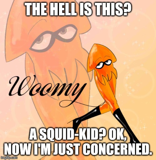 You're a squid, you're a kid!!! | THE HELL IS THIS? A SQUID-KID? OK, NOW I'M JUST CONCERNED. | image tagged in woomy | made w/ Imgflip meme maker