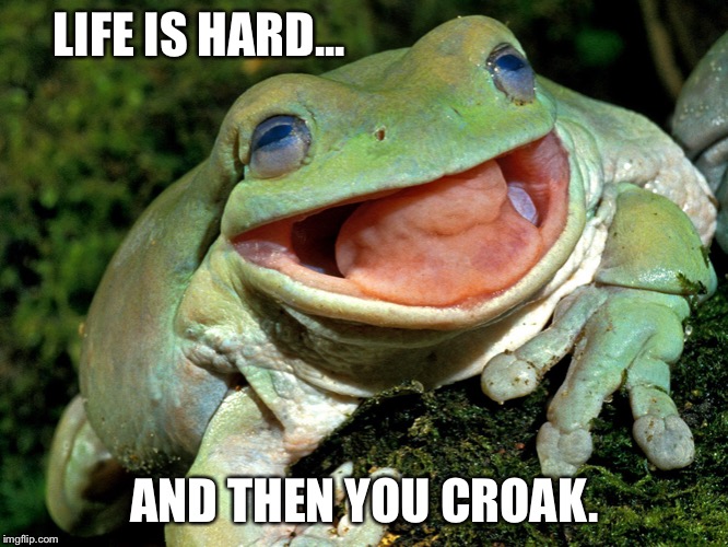 “Pond. James Pond.” | LIFE IS HARD... AND THEN YOU CROAK. | image tagged in life,death,frog | made w/ Imgflip meme maker