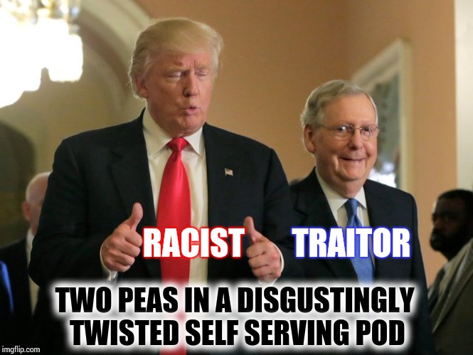 And The Walls Come Crumbling Crumbling ... Down | RACIST; TRAITOR; TWO PEAS IN A DISGUSTINGLY  TWISTED SELF SERVING POD | image tagged in trump mcconnell,memes,trump unfit unqualified dangerous,disgusting,racist,traitor | made w/ Imgflip meme maker