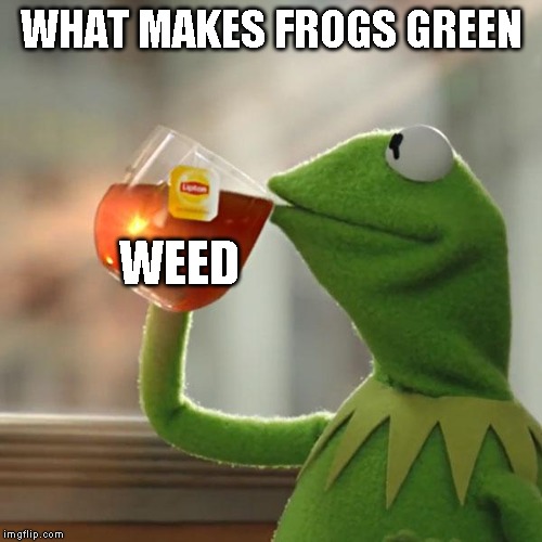 But That's None Of My Business | WHAT MAKES FROGS GREEN; WEED | image tagged in memes,but thats none of my business,kermit the frog | made w/ Imgflip meme maker