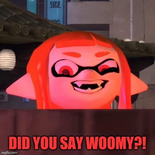 Did you say woomy? | DID YOU SAY WOOMY?! | image tagged in did you say woomy | made w/ Imgflip meme maker