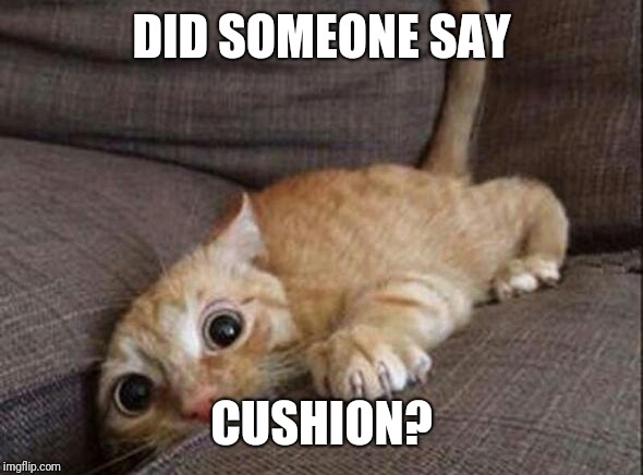 Kitten couch cushion | DID SOMEONE SAY CUSHION? | image tagged in kitten couch cushion | made w/ Imgflip meme maker