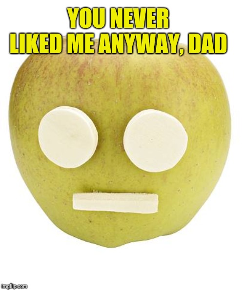 YOU NEVER LIKED ME ANYWAY, DAD | made w/ Imgflip meme maker