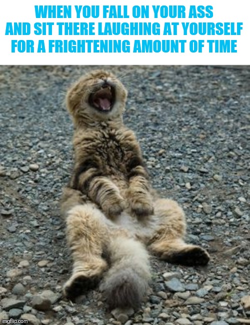 Waiting for the men in white coats to come take me away | WHEN YOU FALL ON YOUR ASS AND SIT THERE LAUGHING AT YOURSELF FOR A FRIGHTENING AMOUNT OF TIME | image tagged in laughing cat | made w/ Imgflip meme maker