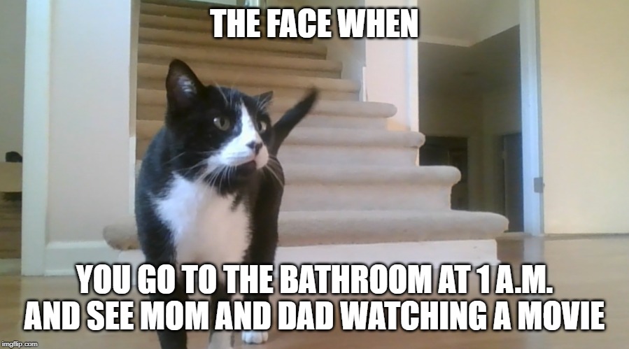 Curiosity Killed It | THE FACE WHEN; YOU GO TO THE BATHROOM AT 1 A.M. AND SEE MOM AND DAD WATCHING A MOVIE | image tagged in curiosity killed it | made w/ Imgflip meme maker