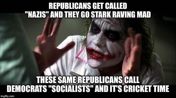 Maybe Republicans should look within | REPUBLICANS GET CALLED "NAZIS" AND THEY GO STARK RAVING MAD; THESE SAME REPUBLICANS CALL DEMOCRATS "SOCIALISTS" AND IT'S CRICKET TIME | image tagged in no one bats an eye | made w/ Imgflip meme maker