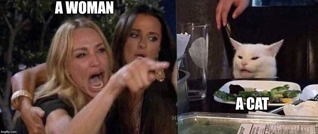 woman yelling at cat | A WOMAN; A CAT | image tagged in woman yelling at cat | made w/ Imgflip meme maker