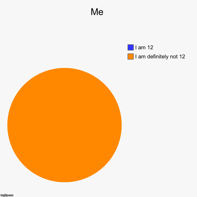 Me | I am definitely not 12, I am 12 | image tagged in charts,pie charts | made w/ Imgflip chart maker