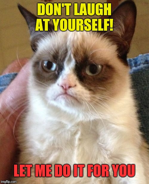 Grumpy Cat Meme | DON'T LAUGH AT YOURSELF! LET ME DO IT FOR YOU | image tagged in memes,grumpy cat | made w/ Imgflip meme maker