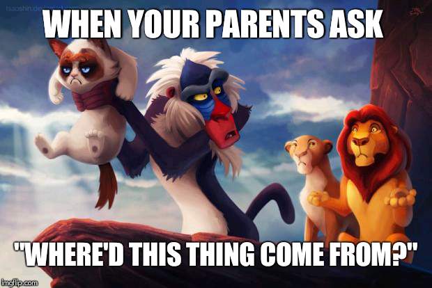 Circle of No | WHEN YOUR PARENTS ASK; "WHERE'D THIS THING COME FROM?" | image tagged in circle of no | made w/ Imgflip meme maker
