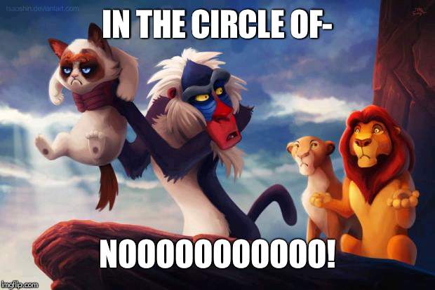 Circle of No | IN THE CIRCLE OF-; NOOOOOOOOOOO! | image tagged in circle of no | made w/ Imgflip meme maker