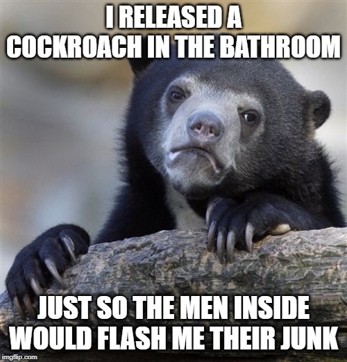 Confession Bear Meme |  I RELEASED A COCKROACH IN THE BATHROOM; JUST SO THE MEN INSIDE WOULD FLASH ME THEIR JUNK | image tagged in memes,confession bear | made w/ Imgflip meme maker