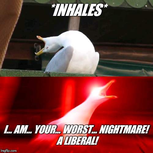 circle of life | *INHALES*; I... AM... YOUR... WORST... NIGHTMARE! 
A LIBERAL! | image tagged in circle of life | made w/ Imgflip meme maker