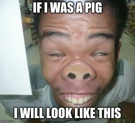 IF I WAS A PIG; I WILL LOOK LIKE THIS | image tagged in sarahcarellevans | made w/ Imgflip meme maker
