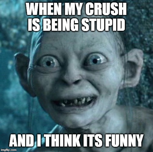 Gollum Meme | WHEN MY CRUSH IS BEING STUPID; AND I THINK ITS FUNNY | image tagged in memes,gollum | made w/ Imgflip meme maker