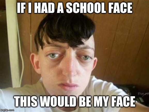 IF I HAD A SCHOOL FACE; THIS WOULD BE MY FACE | image tagged in sarahcarellevans | made w/ Imgflip meme maker