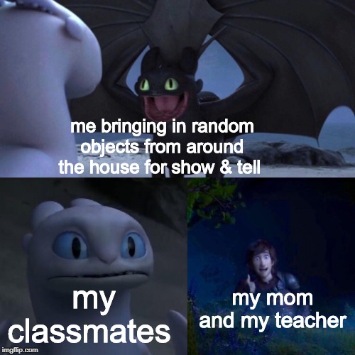 Thanks for all the support mom! (This meme is dedicated to my mom and to all of my teachers) | me bringing in random objects from around the house for show & tell; my classmates; my mom and my teacher | image tagged in night fury | made w/ Imgflip meme maker