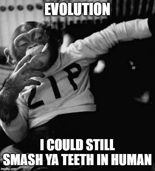 monkey smoke zip | EVOLUTION I COULD STILL SMASH YA TEETH IN HUMAN | image tagged in monkey smoke zip | made w/ Imgflip meme maker