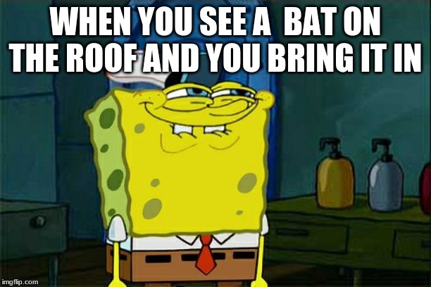 Don't You Squidward Meme | WHEN YOU SEE A  BAT ON THE ROOF AND YOU BRING IT IN | image tagged in memes,dont you squidward | made w/ Imgflip meme maker