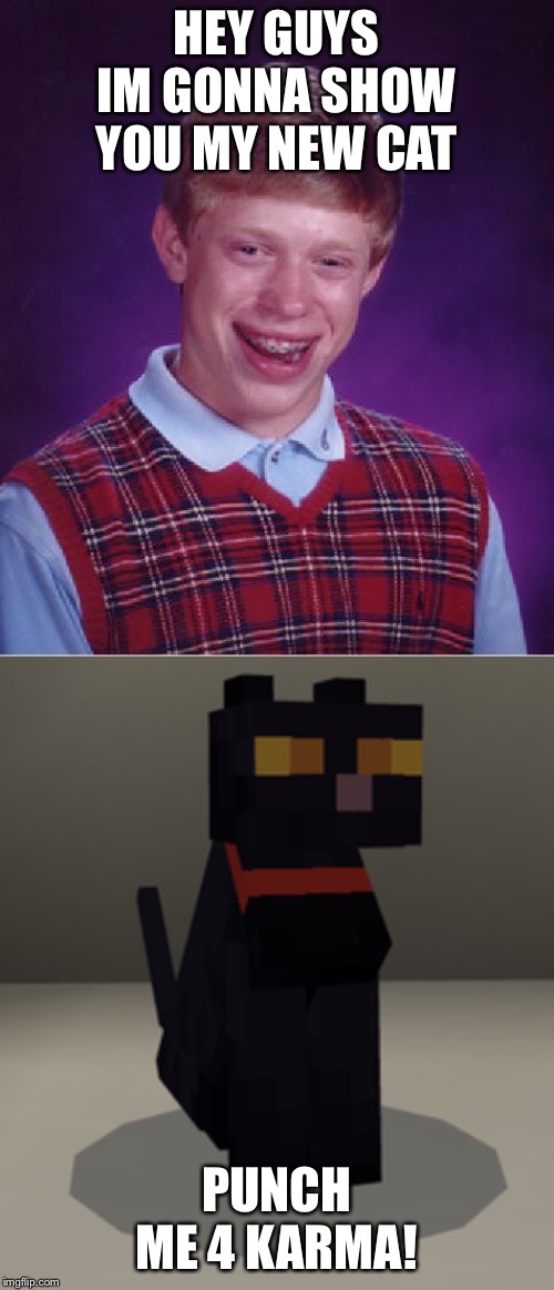 Whenever Brian swears on servers, he gets the worst luck ever! | HEY GUYS IM GONNA SHOW YOU MY NEW CAT; PUNCH ME 4 KARMA! | image tagged in memes,bad luck brian,cats,minecraft | made w/ Imgflip meme maker