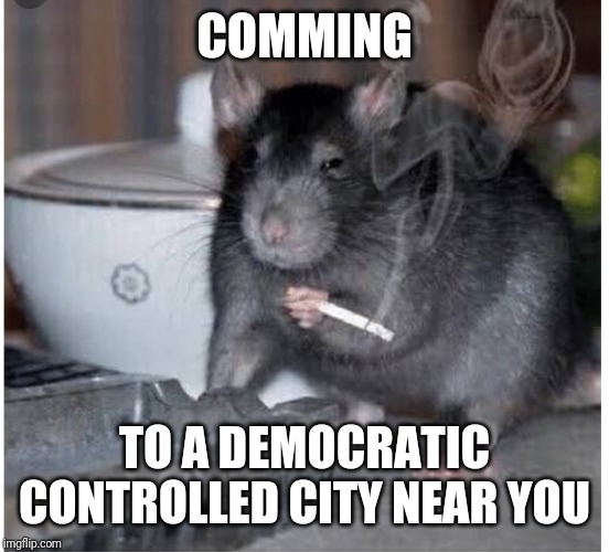 MCU’s Rat of Destiny | COMMING; TO A DEMOCRATIC CONTROLLED CITY NEAR YOU | image tagged in mcus rat of destiny | made w/ Imgflip meme maker