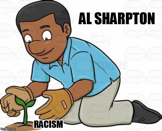 REV. AL SHAPRTON (FARMER) | AL SHARPTON; RACISM | image tagged in funny,memes,gifs,al sharpton | made w/ Imgflip meme maker