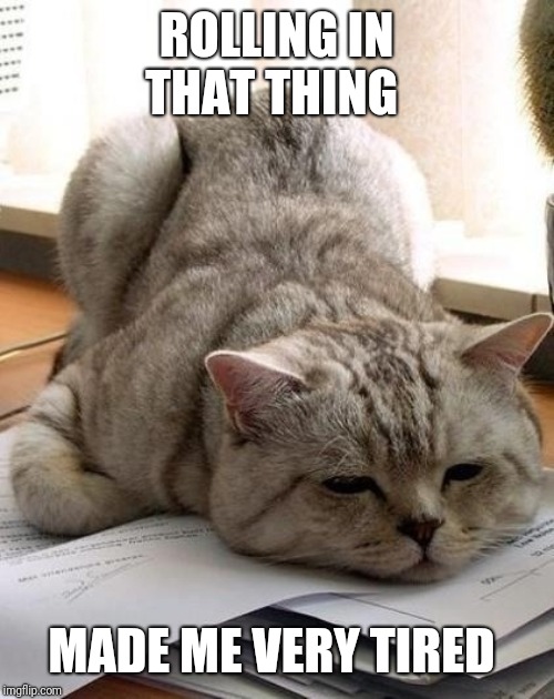 Tired Cat | ROLLING IN THAT THING MADE ME VERY TIRED | image tagged in tired cat | made w/ Imgflip meme maker