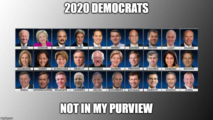 2020 DEMOCRATS; NOT IN MY PURVIEW | image tagged in 2020 democratic candidates | made w/ Imgflip meme maker