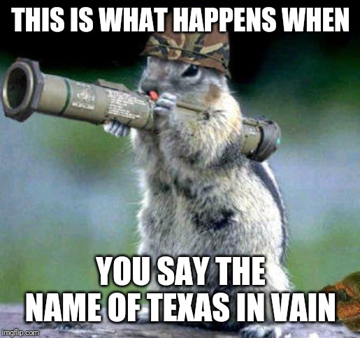 Bazooka Squirrel Meme | THIS IS WHAT HAPPENS WHEN; YOU SAY THE NAME OF TEXAS IN VAIN | image tagged in memes,bazooka squirrel | made w/ Imgflip meme maker