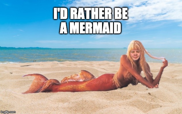 I'D RATHER BE
A MERMAID | image tagged in mermaid | made w/ Imgflip meme maker