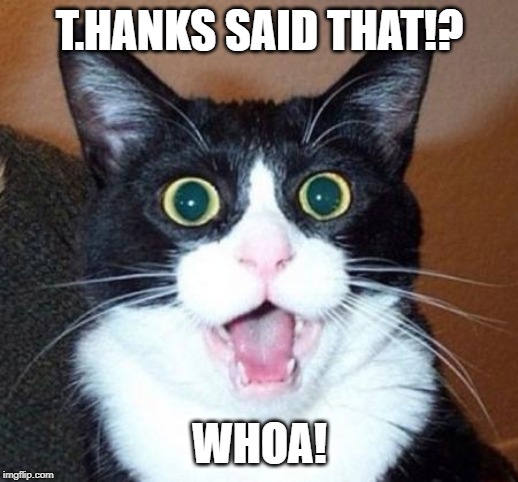 Surprised cat lol | T.HANKS SAID THAT!? WHOA! | image tagged in surprised cat lol | made w/ Imgflip meme maker